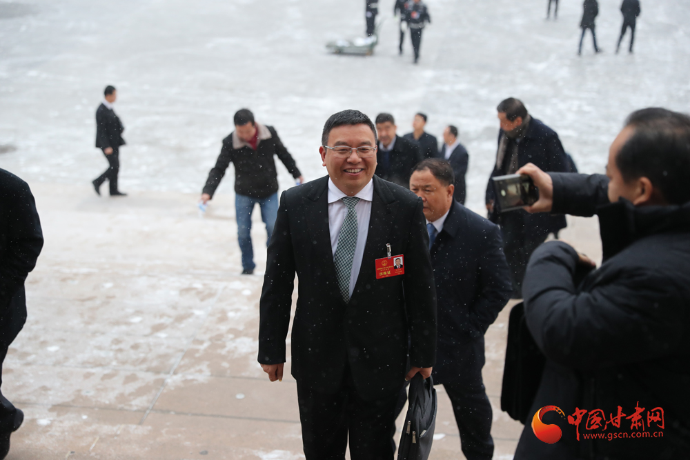 【聚焦2020甘肅兩會】“兩會”代表、委員風采掠影（組圖）