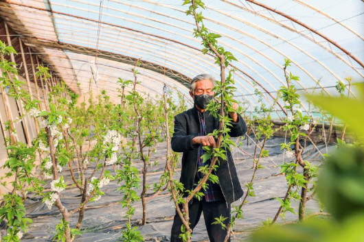 銅城復蘇：春光明媚，邀你共賞芳華（組圖）