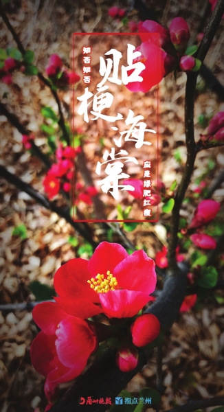 來，跟這些美美的花朵認(rèn)識一下！