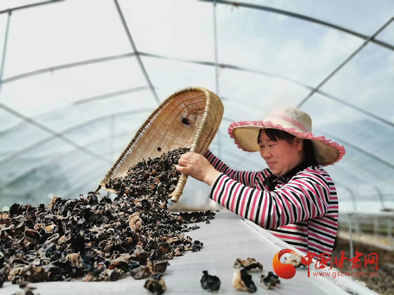 康縣：木耳菌袋結出脫貧致富的“幸?；ā?>
        </a><em>康縣：木耳菌袋結出脫貧致富的“幸?；ā?/em></li>
    <li><a  target=