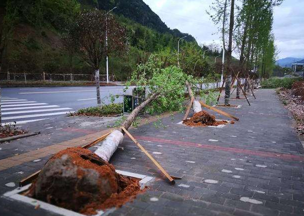 刮風(fēng)下雨加速新冠病毒傳播？別信！