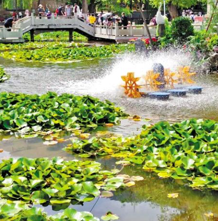 走，到五泉山公園看花展去