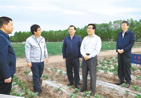 林鐸在天?？h調(diào)研指導脫貧攻堅工作時強調(diào)  拉開架勢持續(xù)用力構(gòu)建扶貧產(chǎn)業(yè)體系 多措并舉固強補弱鞏固提升脫貧成果