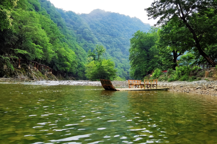 【小隴畫報(bào)·95期】康縣：來陽壩，“森”呼吸，我“氧”你