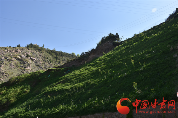厚植綠色沃土 筑牢生態(tài)屏障——九州臺片區(qū)水土保持綜合試點(diǎn)項目顯成效