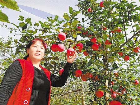 【走向我們的小康生活】馮巧葉，“大家一起過好日子”