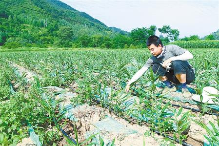 【走向我們的小康生活】安居樂業(yè) 幸?；ㄩ_