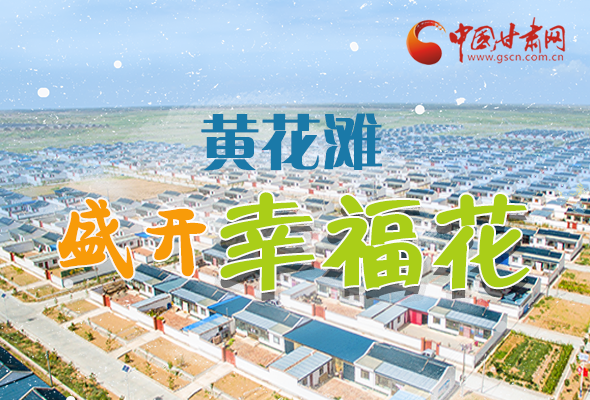 【跟著總書記看甘肅】長圖|武威黃花灘盛開幸?；?