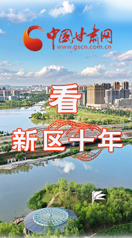 圖解|崛起！新區(qū)十年