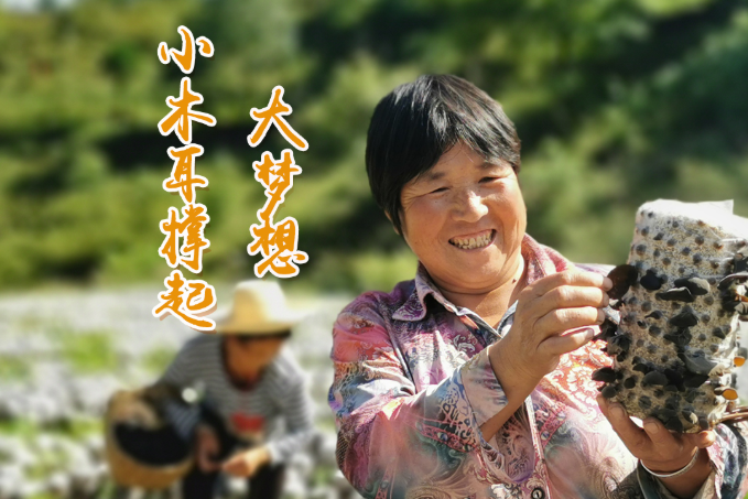 海報丨他們，乘“豐”破浪！