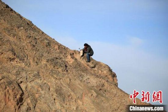 圖為敦煌“80后”畫家張杰龍在敦煌三危山里采集礦石顏料。(資料圖)受訪者供圖