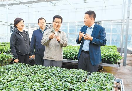 林鐸在民勤縣調(diào)研指導工作時強調(diào) 堅持生態(tài)優(yōu)先 培育特色產(chǎn)業(yè) 促進經(jīng)濟發(fā)展和生態(tài)保護雙贏