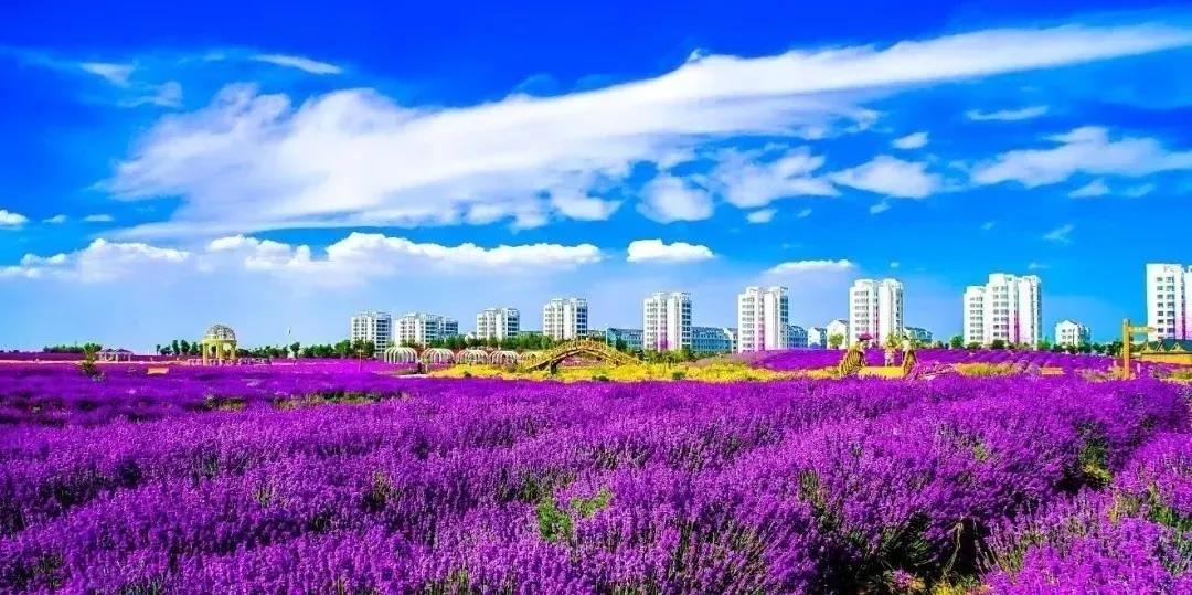 喜訊！金昌蟬聯(lián)全國文明城市