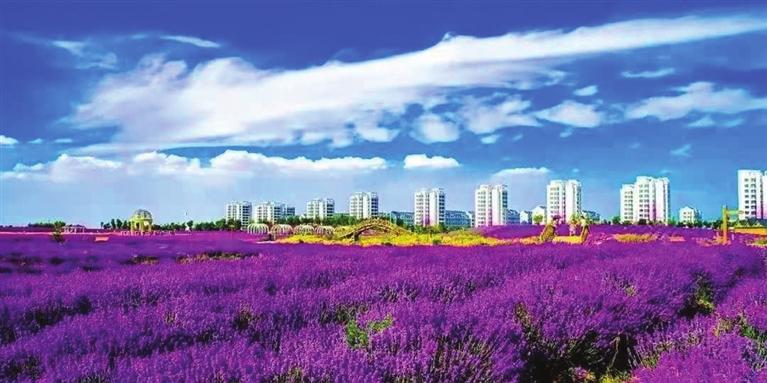 “三連冠”！金昌蟬聯(lián)全國文明城市