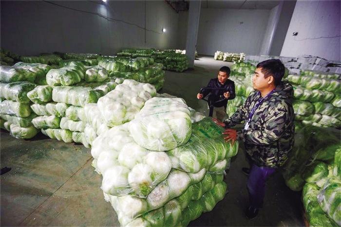蘭州市已儲備1萬噸冬春蔬菜以耐貯存、易周轉(zhuǎn)品種為主