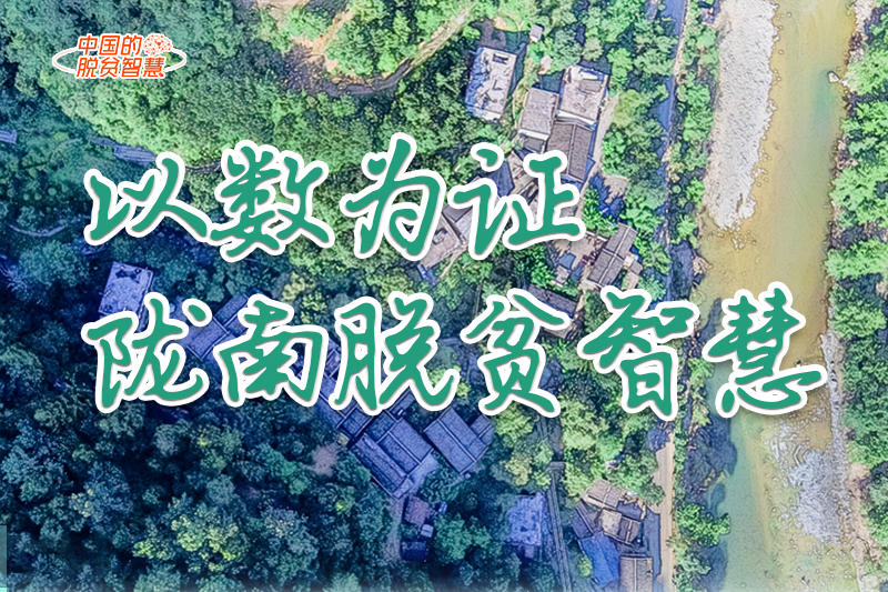 【中國的脫貧智慧】以數(shù)為證！隴南脫貧智慧來了！