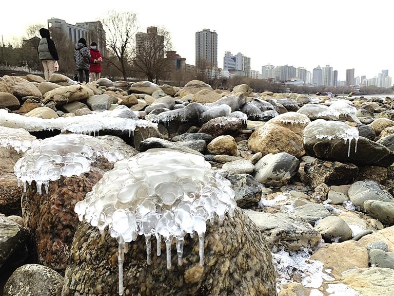 蘭州：水母上河灘？