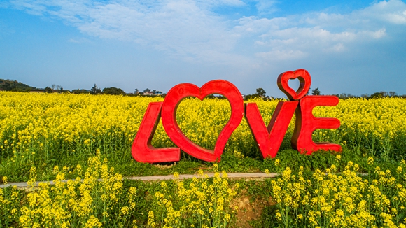 “l(fā)ove”創(chuàng)意拍照墻。廖濤 攝