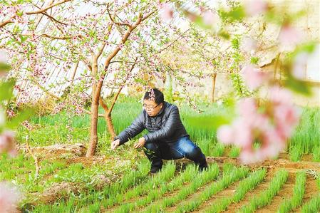 甘肅：時(shí)令催人耕種忙，不誤田間一季春