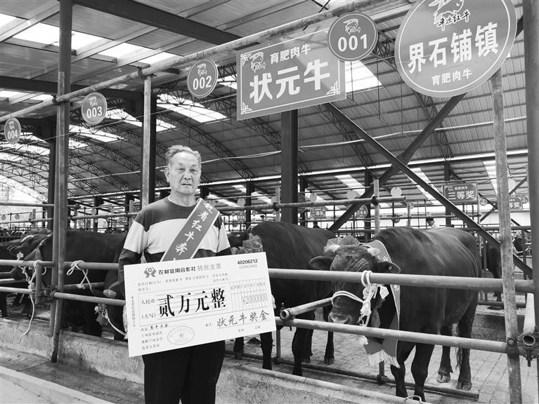 120頭“平?jīng)黾t?！膘o寧爭霸