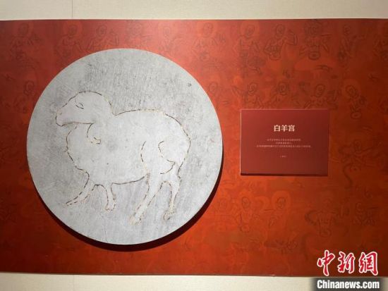 圖為展覽現(xiàn)場(chǎng)?！〗瓧顭?攝