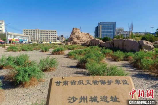 圖為沙州郡城遺址公園古遺址。　王斌銀 攝