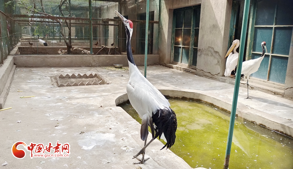 蘭州公安提醒市民：非緊急非必要，不出境