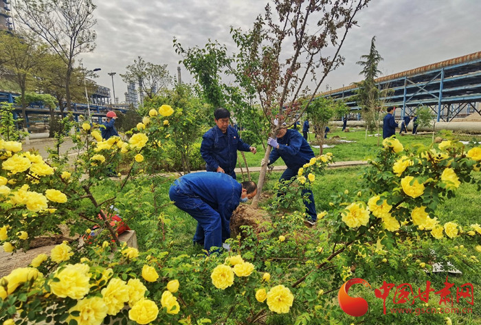 蘭州市推進低氮改造持續(xù)改善空氣質量
