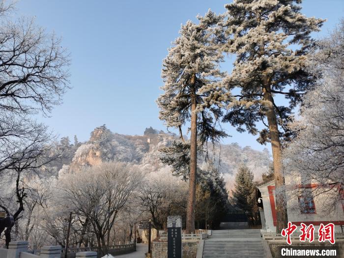 圖為崆峒山霧凇景色美不勝收?！⌒煺袢A 攝