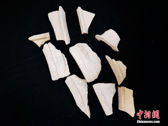圖為靜寧縣賈河鄉(xiāng)竇坪村出土的彩陶片、紅陶片。 夏劍鋒 攝