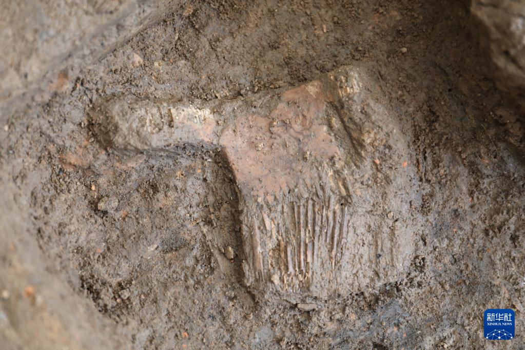 河南南陽市黃山新石器時(shí)代遺址出土的屈家?guī)X文化骨梳（資料圖）。