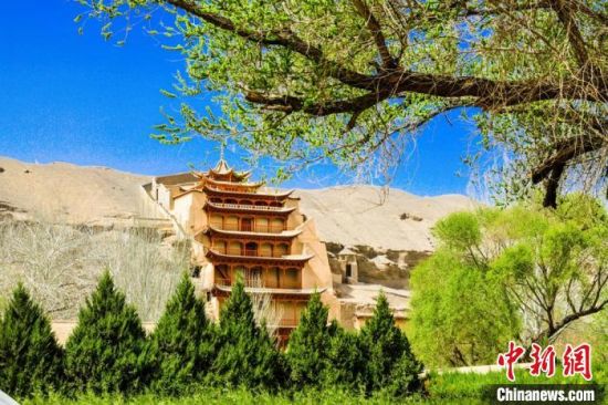 4月的敦煌莫高窟景區(qū)春意盎然。(資料圖) 王斌銀 攝
