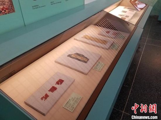 圖為展覽現(xiàn)場(chǎng)?！《鼗脱芯吭汗﹫D