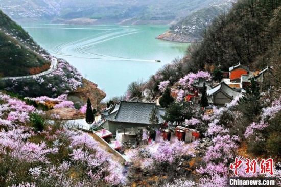 甘肅平?jīng)鍪惺侵袊鴥?yōu)秀旅游城市。圖為平?jīng)鲠轻忌较率锾一ㄊ㈤_。(資料圖) 平?jīng)鍪形麄鞑抗﹫D