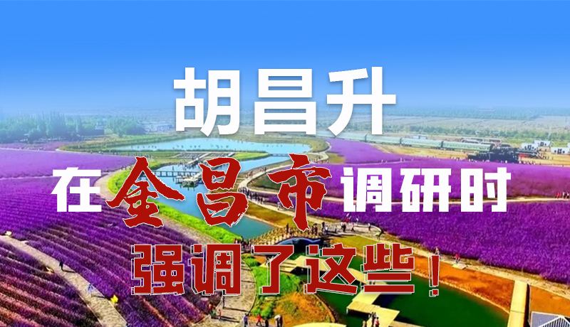 圖解|胡昌升在金昌市調(diào)研時(shí)強(qiáng)調(diào)了這些！