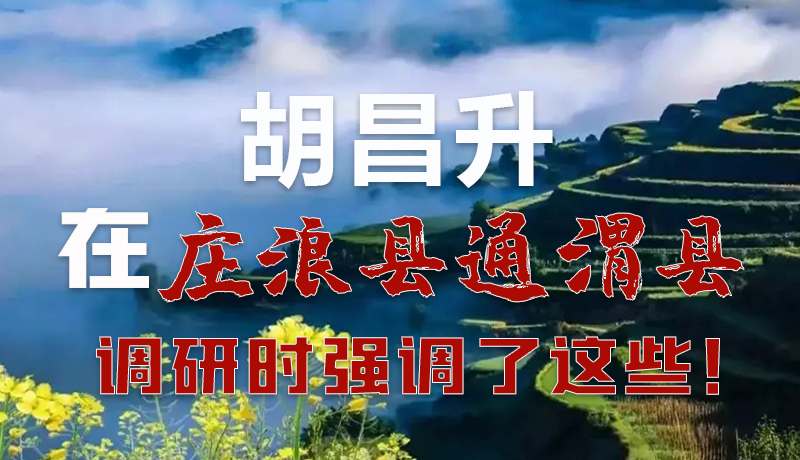 圖解|胡昌升在莊浪縣通渭縣調(diào)研時(shí)強(qiáng)調(diào)了這些！