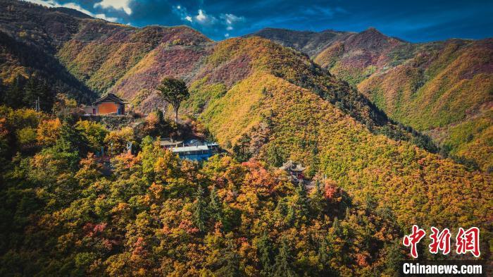 深秋，位于蘭州市榆中縣的興隆山，似打翻調(diào)色板。金峯 攝