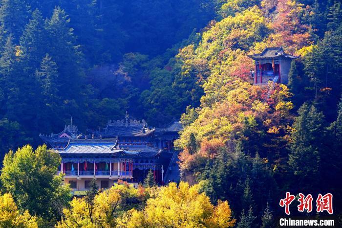 深秋，位于蘭州市榆中縣的興隆山景色如畫。宮衛(wèi)紅 攝