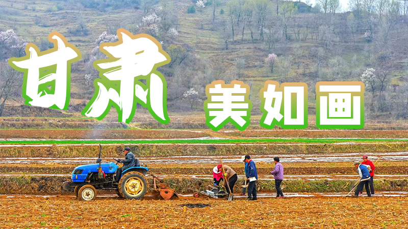 微海報(bào)|甘肅，美如畫