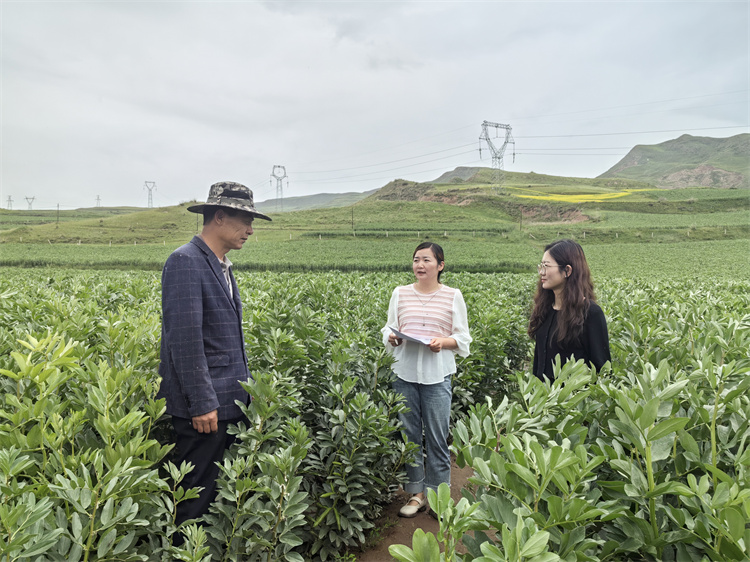 1721898041570263.jpg 圖為古浪縣十八里堡鄉(xiāng)紀檢監(jiān)察干部在東廟兒溝村大豆種植基地了解產(chǎn)業(yè)獎補政策落實情況.jpg