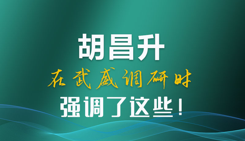 圖解|胡昌升在武威調研時強調了這些！